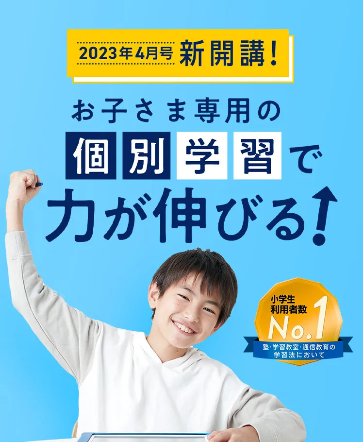 公式 進研ゼミ小学講座 チャレンジ チャレンジタッチ 小学生向け通信教育 学習教材