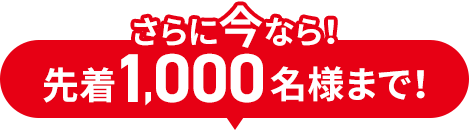 さらに今なら！