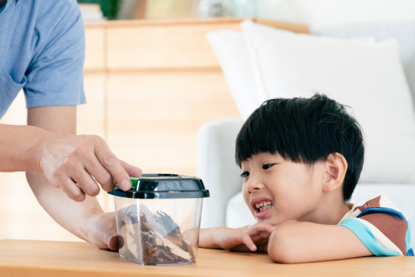 学年に合わせて、保護者のかたは自由研究への関わり方を変えよう