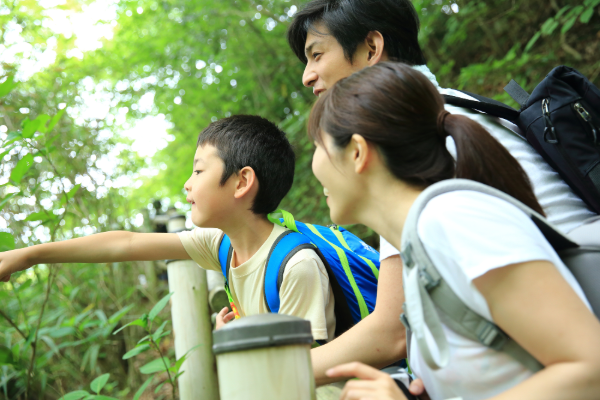 実験や観察の自由研究における、保護者のかたの関わり方