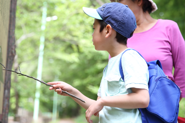 小学生が地図記号を覚える方法