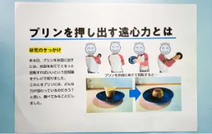 デジタル・スライド形式