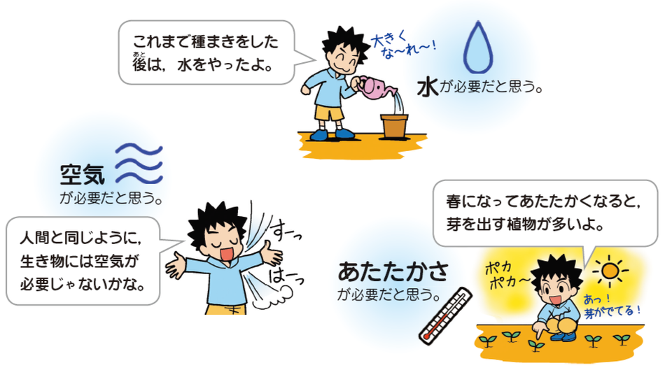 植物の発芽の条件は水・空気・あたたかさ