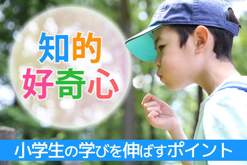 勉強の仕方がわかる→成績UP 子どもの学習意欲を高めるコツ