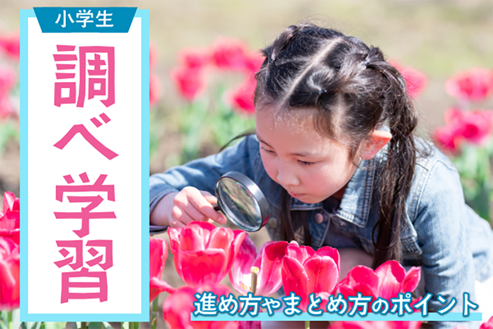 小学生の調べ学習とは？