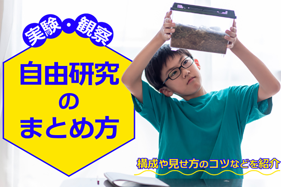 実験・観察系の自由研究のまとめ方は？