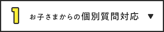 お子さまからの個別質問対応