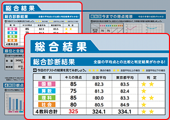 <総合診断結果>
