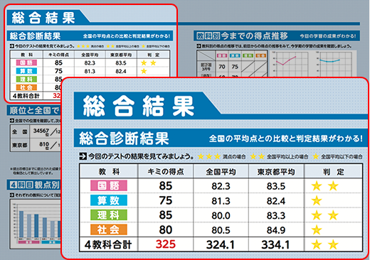 <総合診断結果>