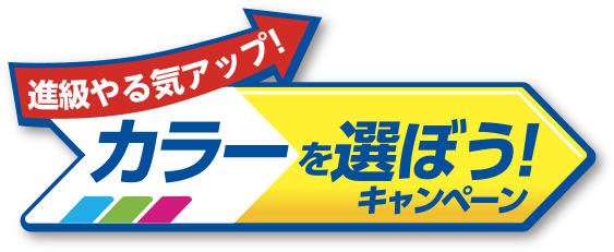 21年度カラー登録キャンペーン 小学4年生 進研ゼミ小学講座 ベネッセコーポレーション