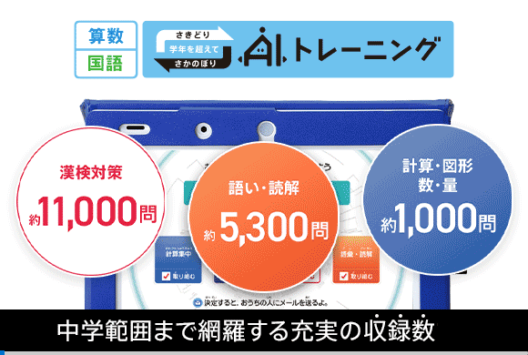6年間の振り返りで基礎を固め、中学の先取りまで！