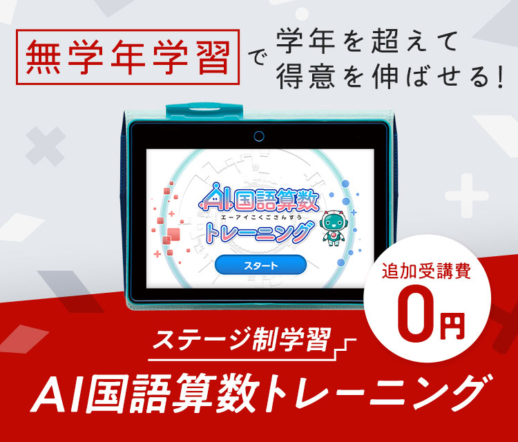 無学年学習で学年を超えて得意を伸ばせる！ 追加受講費０円 ステージ制学習AI国語算数トレーニング