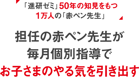 赤ペン先生の添削指導 進研ゼミ小学講座