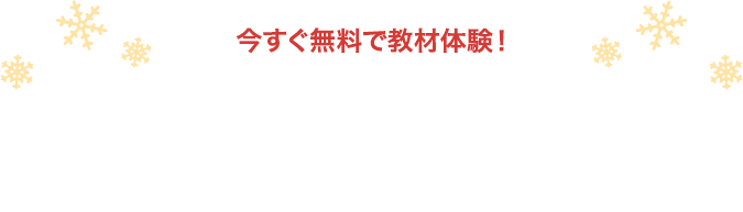 チャレンジタッチ１ねんせい 進研ゼミ小学講座 入学準備 新小学1年生向け通信教育 タブレット学習教材