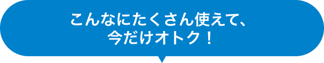 こんなにたくさん使えて、今だけオトク！