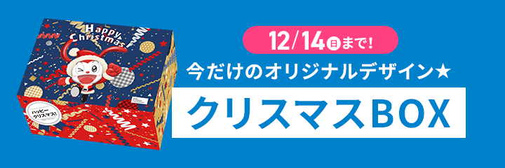 今だけのオリジナルデザイン★クリスマスBOX