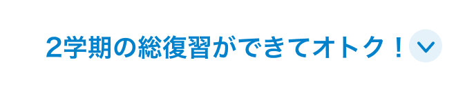 2学期の総復習ができてオトク！