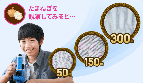 実験・観察・まとめの学習イメージ