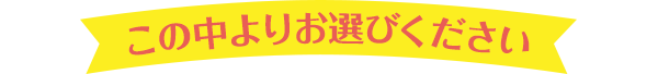この中よりお選びください