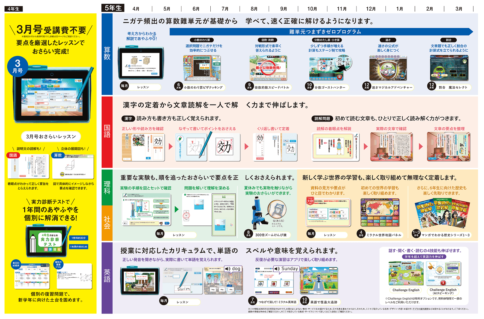 表：年間ラインナップ