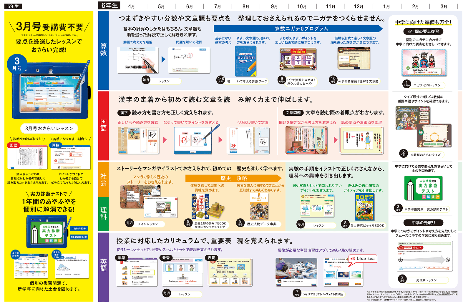 表:年間ラインナップ