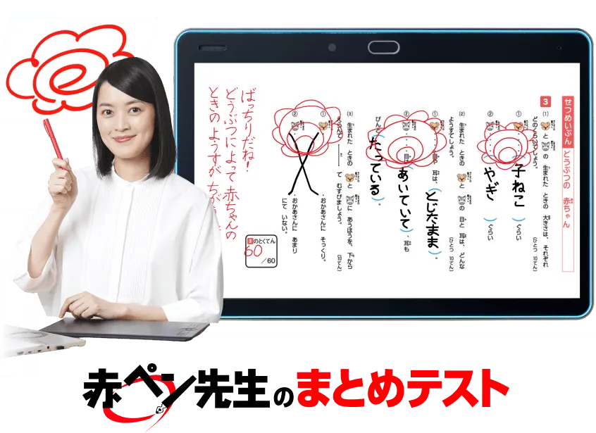 写真：できた！点数