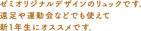 ゼミオリジナルデザインのリュックです。遠足や運動会などでも使えて新１年生にオススメです。