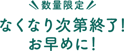 ＼数量限定／なくなり次第終了！お早めに