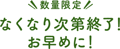 今だけ選べる限定アイテム！