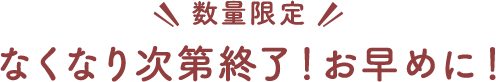 数量限定