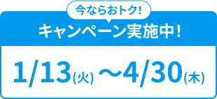 キャンペーン期間