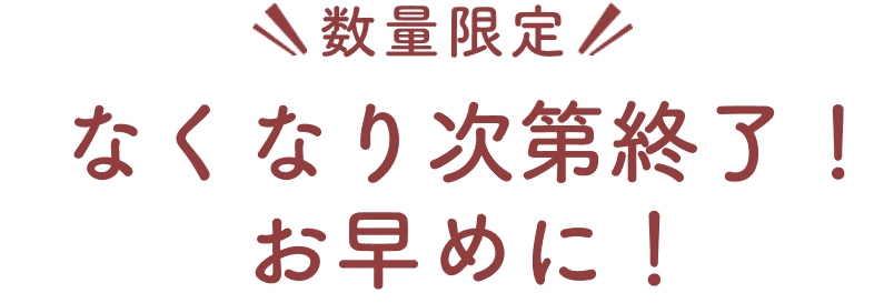 数量限定 なくなり次第終了! お早めに!