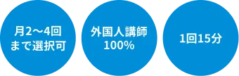 月2~4回　外国人講師　オンライン英会話レッスン