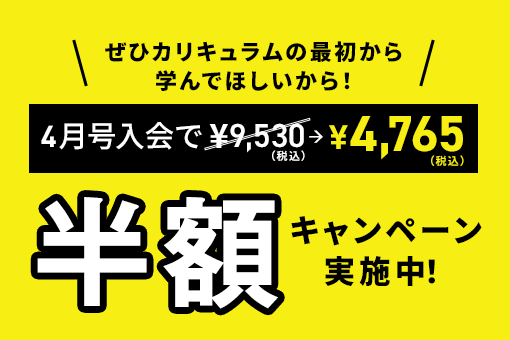 半額キャンペーンについて