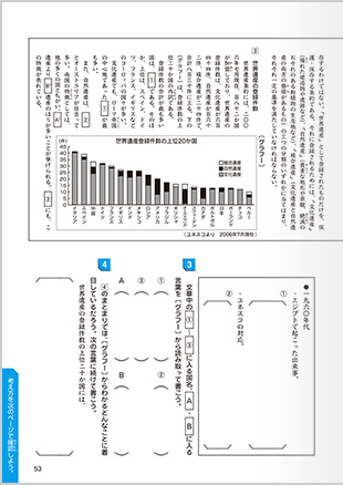 国語算数ハイレベルテキスト5 6年生 オプション教材 進研ゼミ小学