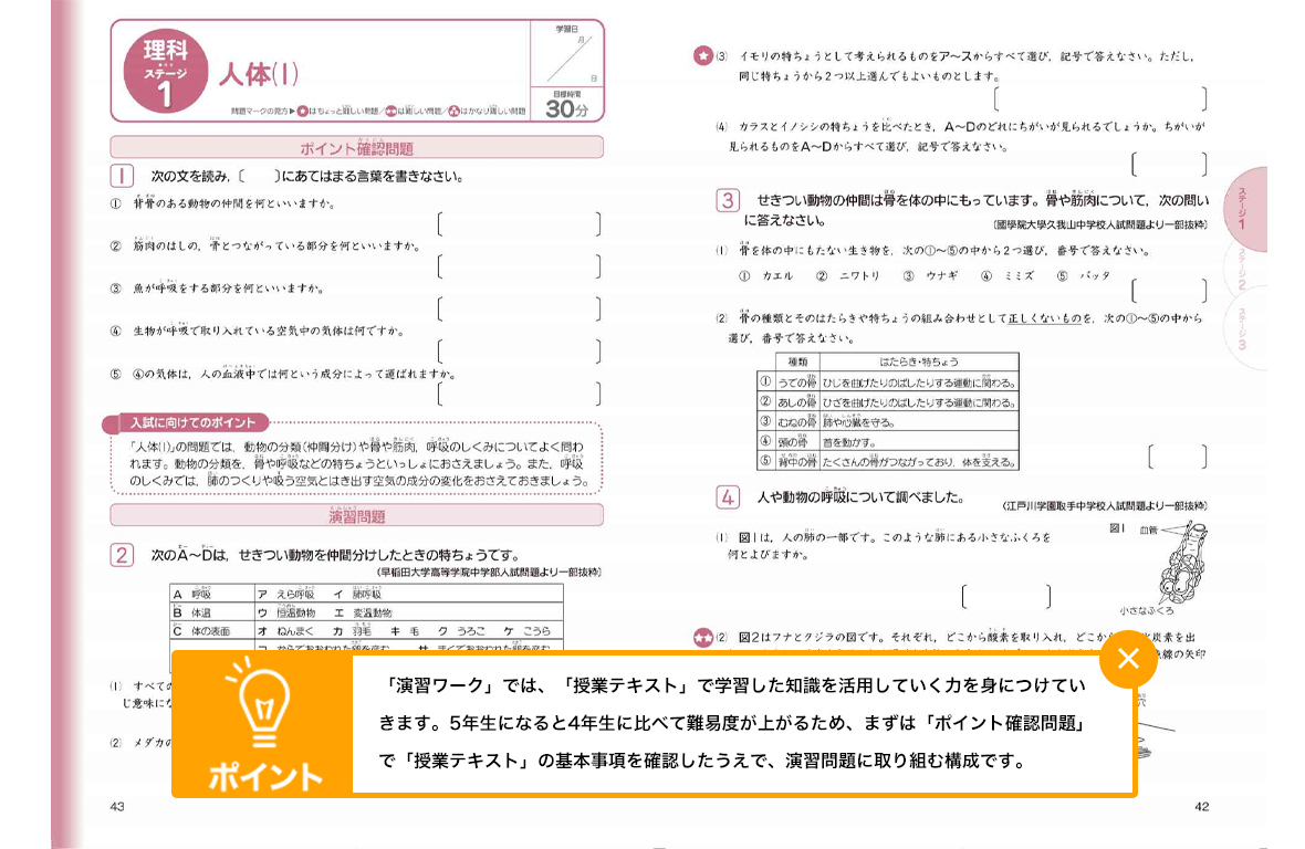 中学受験対策教材 考える力 プラス 中学受験講座 進研ゼミ小学講座