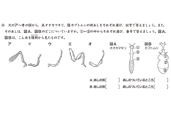 中学受験の理科