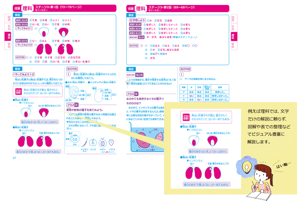 例えば理科では、文字だけの解説に頼らず、図解や表での整理など、徹底的に理解しやすく、ビジュアル豊富に解説します。