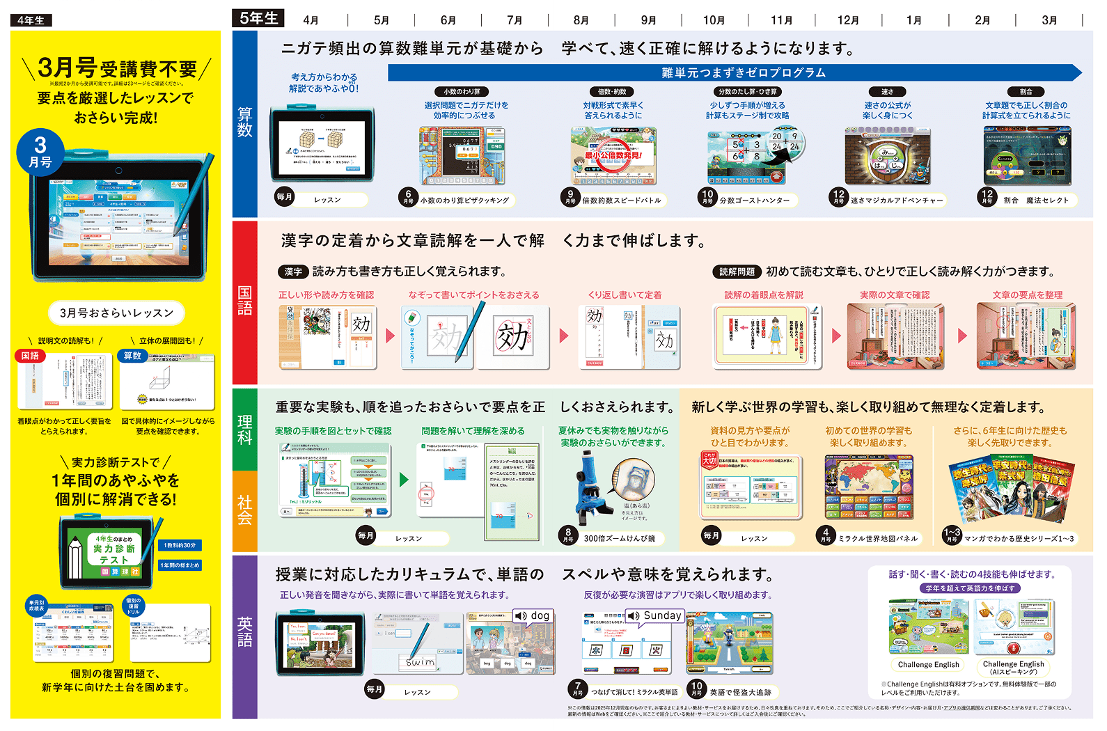 表:年間ラインナップ