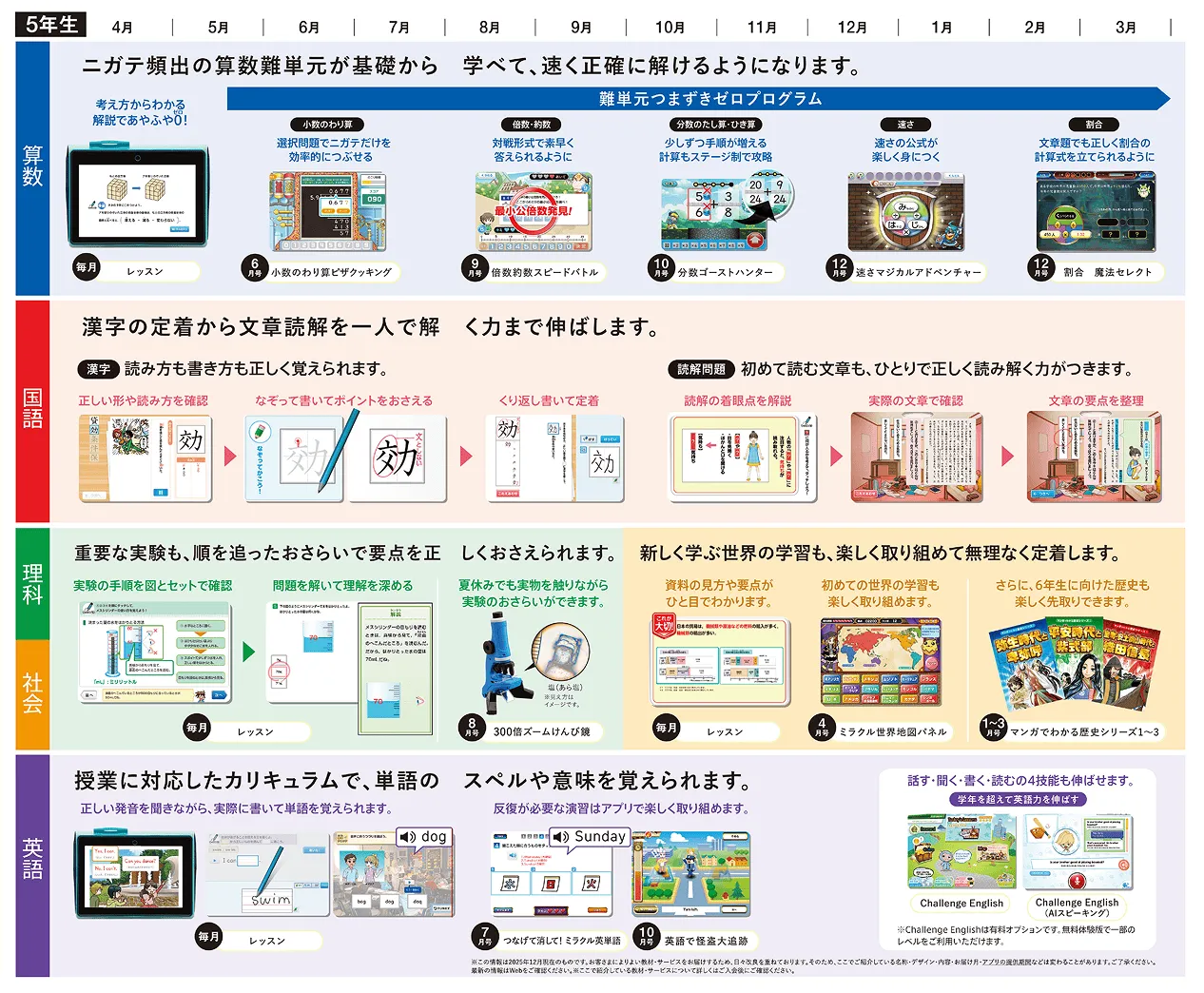 表：年間ラインナップ