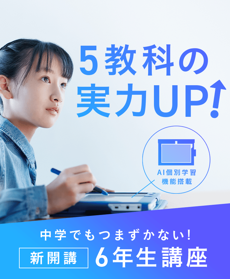 1997年進研ゼミチャレンジ小学講座小学6年生まとめ売り 日本最大の