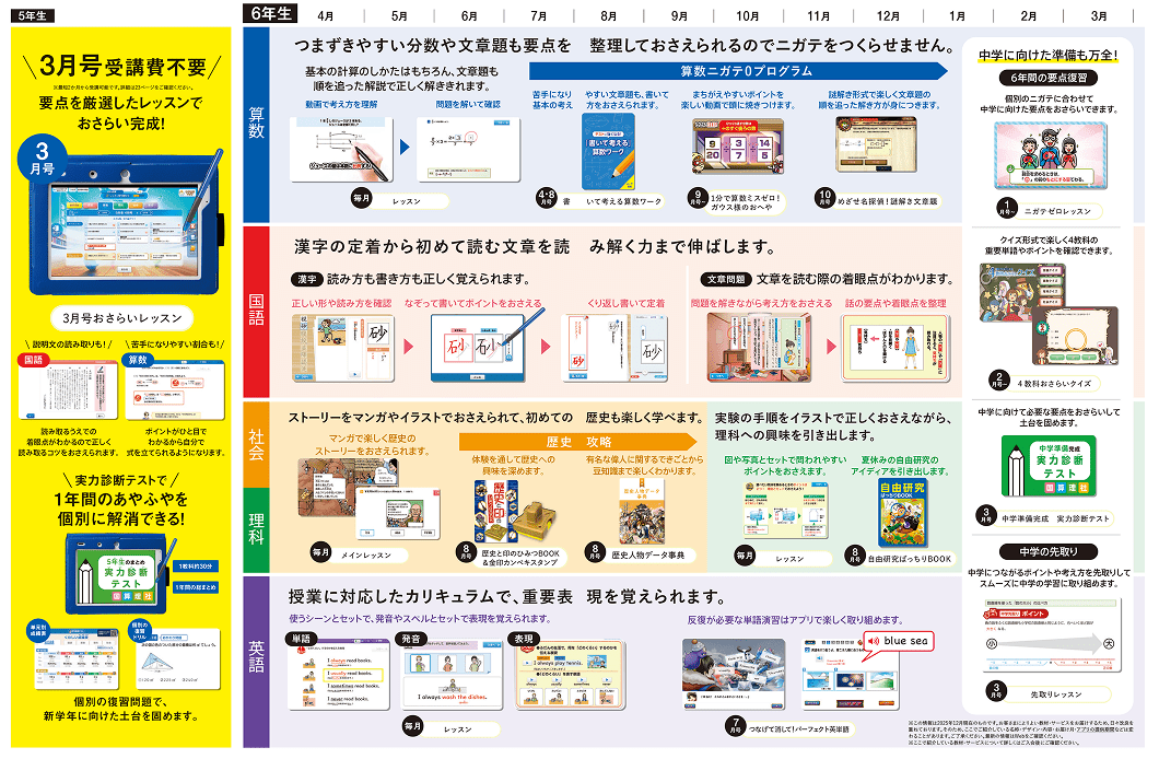 表：年間ラインナップ