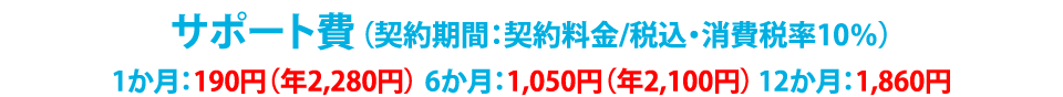 チャレンジパッドサポートサービス 進研ゼミ小学講座 中学講座