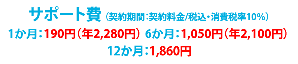 チャレンジパッドサポートサービス 進研ゼミ小学講座 中学講座